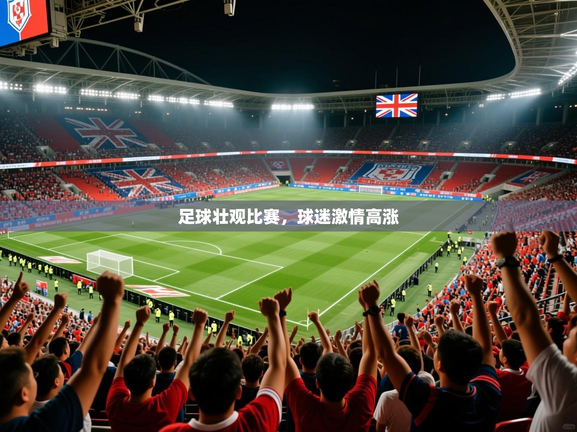 2025 极直播投屏足球壮观比赛，球迷激情高涨  第1张