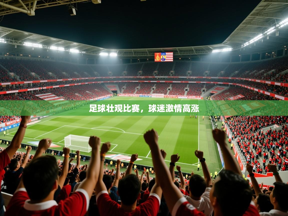 2025 极直播投屏足球壮观比赛，球迷激情高涨  第2张