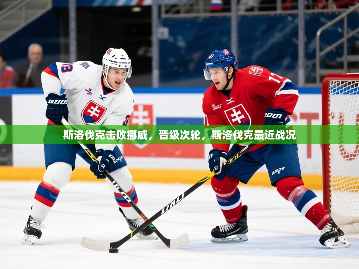 2025 极直播app斯洛伐克击败挪威，晋级次轮，斯洛伐克最近战况  第2张