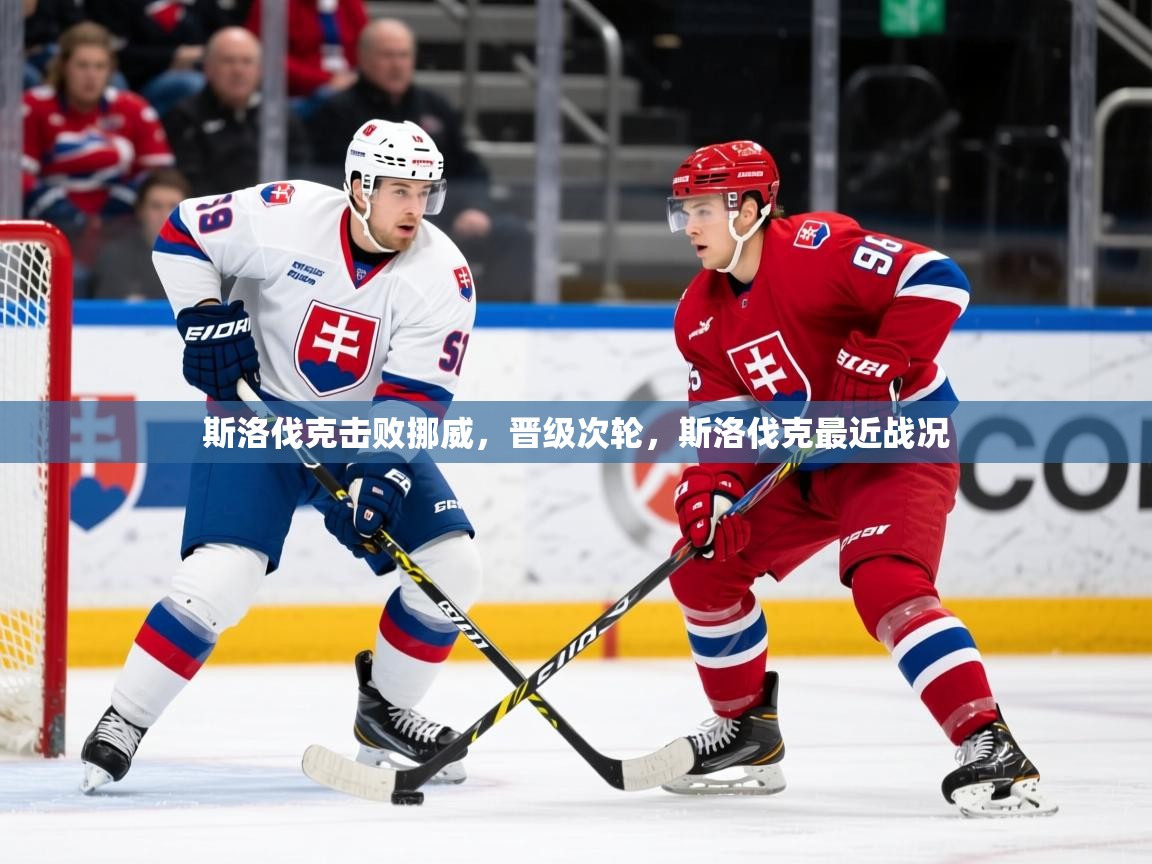 2025 极直播app斯洛伐克击败挪威，晋级次轮，斯洛伐克最近战况  第4张