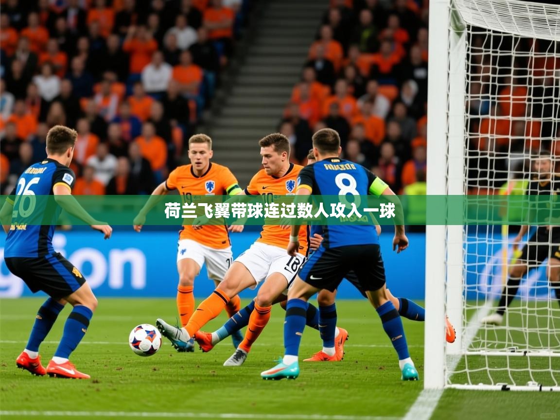2025 极直播下载荷兰飞翼带球连过数人攻入一球 第1张