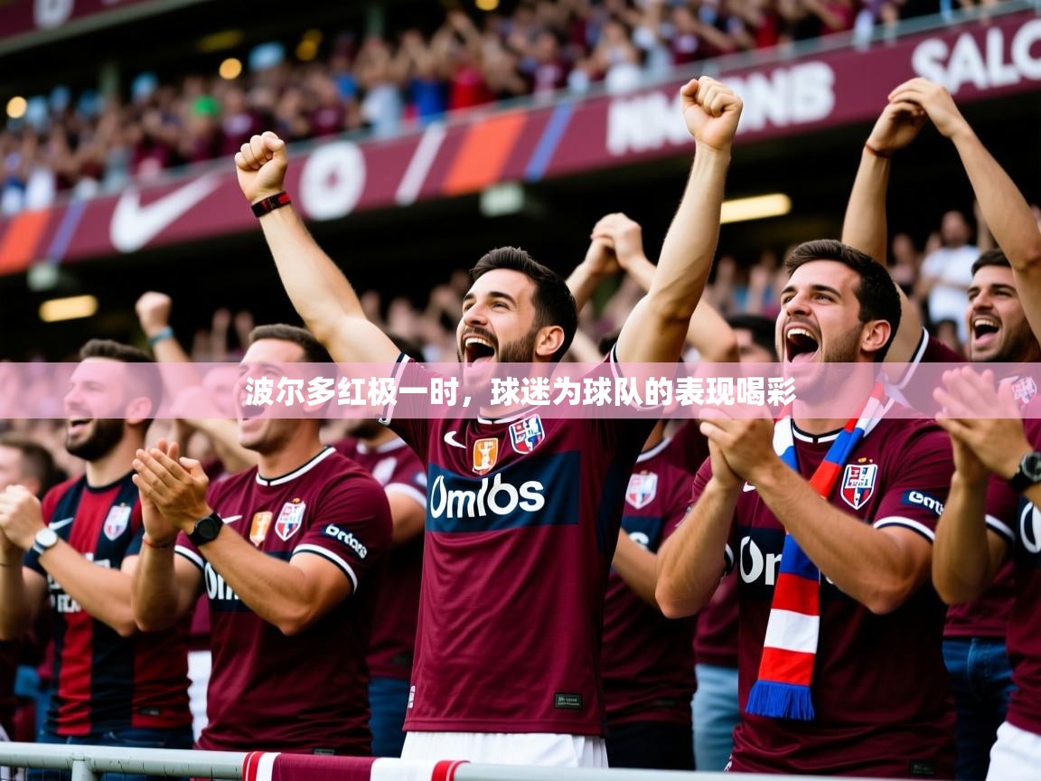 2025 极直播下载波尔多红极一时,球迷为球队的表现喝彩 第2张