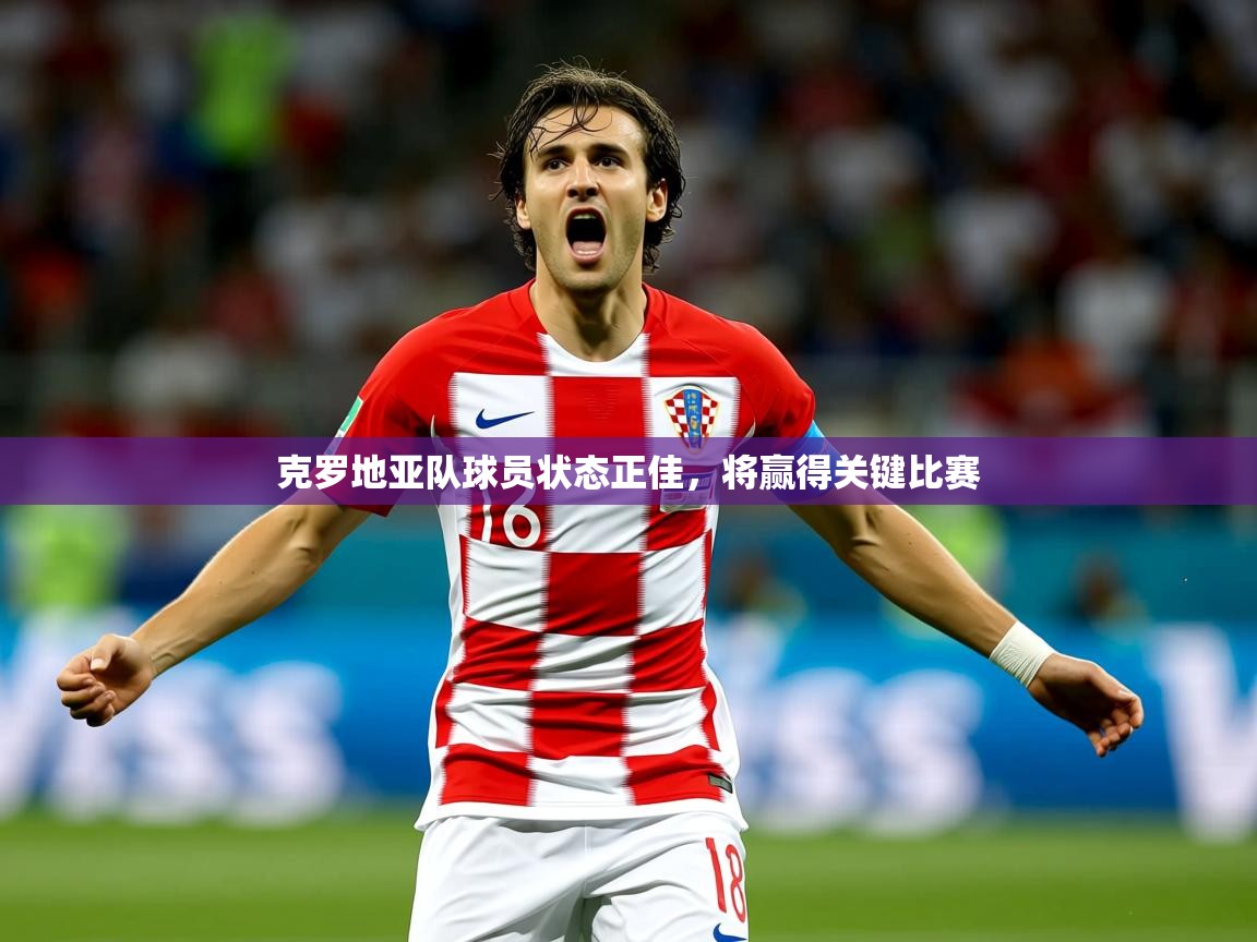 2026 极直播官网克罗地亚队球员状态正佳,将赢得关键比赛 第3张