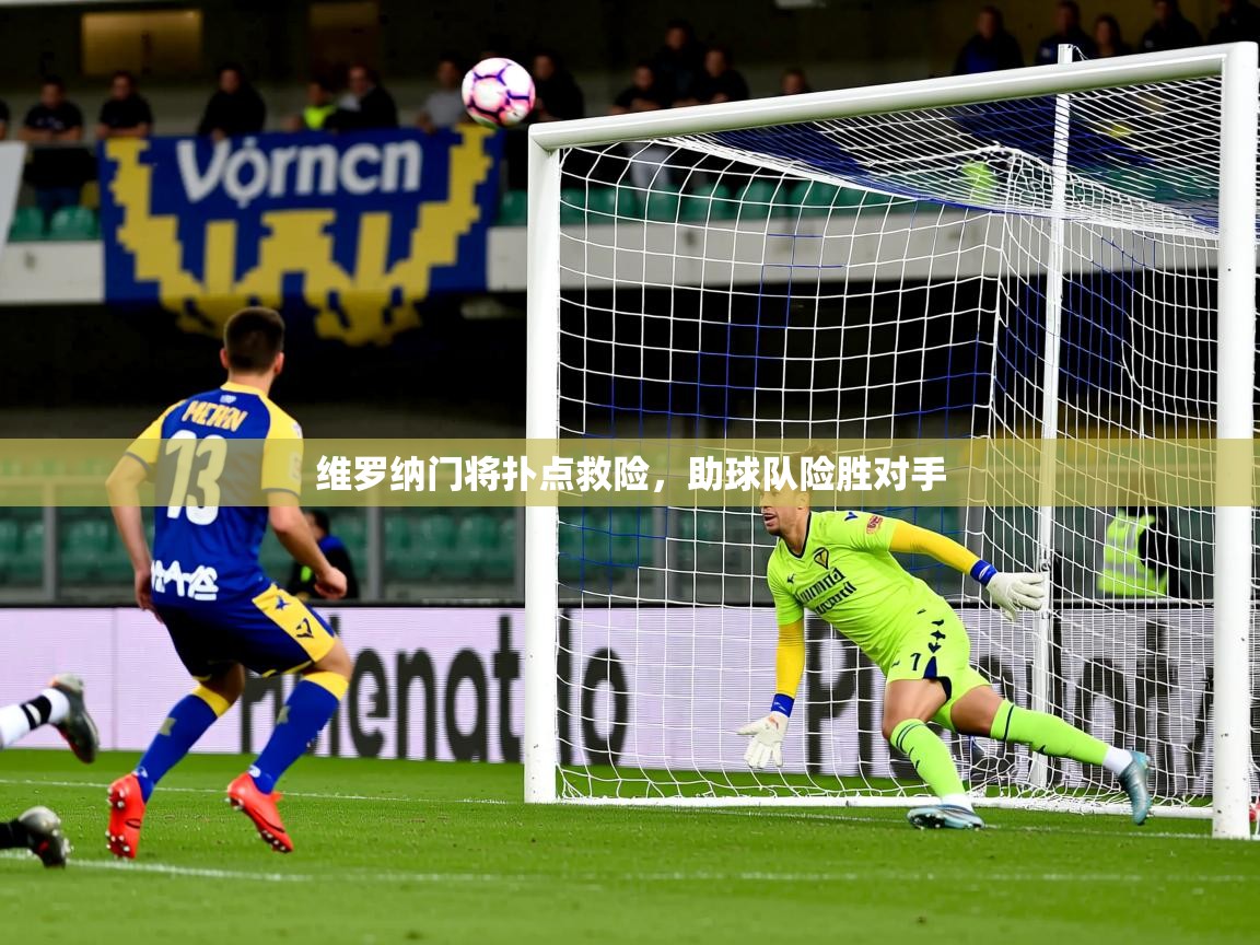 2026 极直播投屏板在哪里维罗纳门将扑点救险，助球队险胜对手  第1张