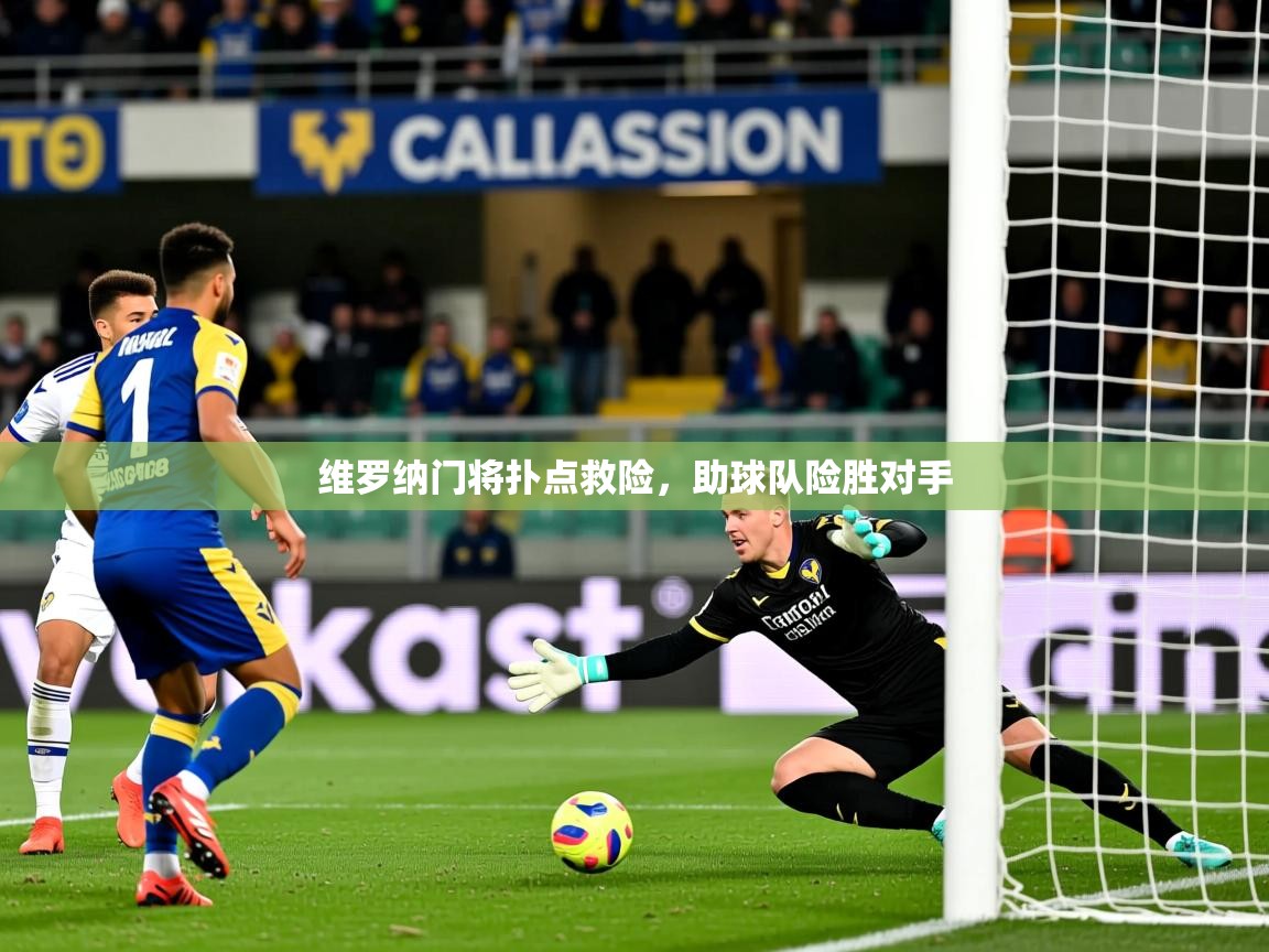 2026 极直播投屏板在哪里维罗纳门将扑点救险，助球队险胜对手  第2张